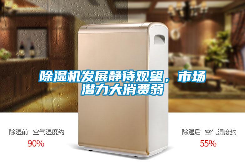 茄子视频懂你更多在线观看发展静待观望，市场潜力大消费弱