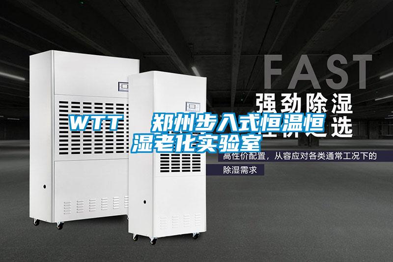 WTT 郑州步入式恒温恒湿老化实验室