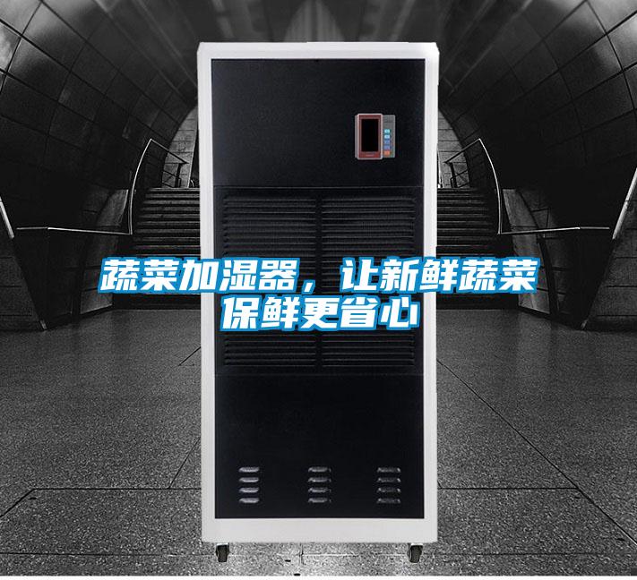 蔬菜加湿器，让新鲜蔬菜保鲜更省心