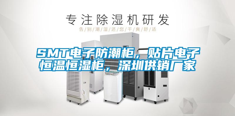SMT电子防潮柜，贴片电子恒温恒湿柜，深圳供销厂家
