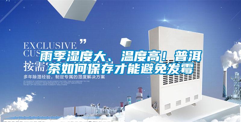 雨季湿度大、温度高！普洱茶如何保存才能避免发霉