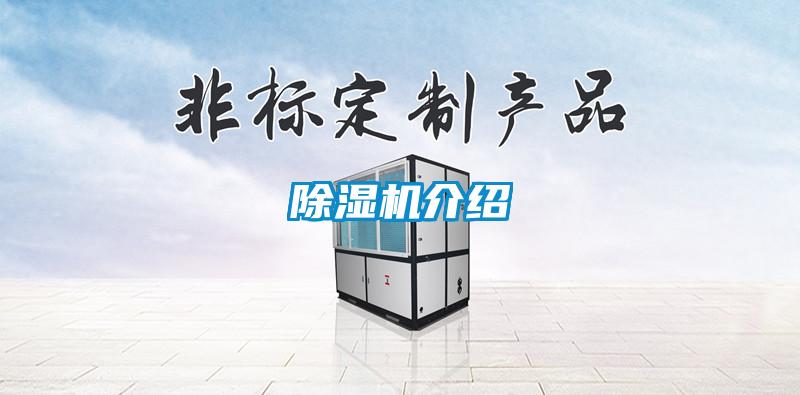 茄子视频懂你更多在线观看介绍