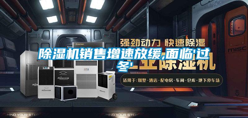 茄子视频懂你更多在线观看销售增速放缓,面临'过冬'