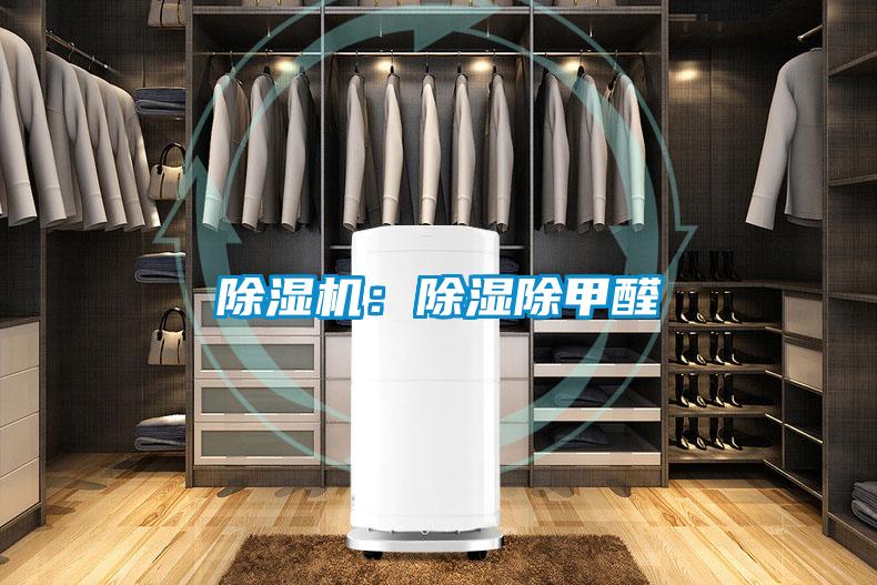 茄子视频懂你更多在线观看：除湿除甲醛