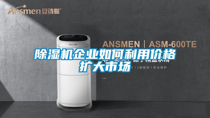 茄子视频懂你更多在线观看企业如何利用价格扩大市场