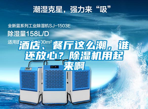 酒店、餐厅这么潮，谁还放心？茄子视频懂你更多在线观看用起来啊