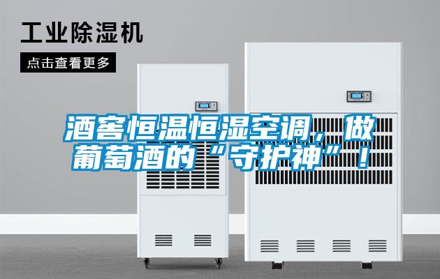 酒窖恒温恒湿空调，做葡萄酒的“守护神”！