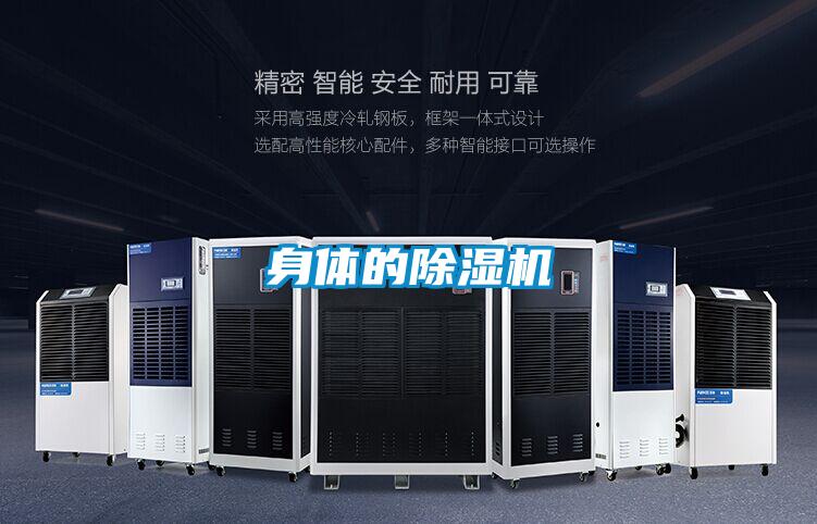 身体的茄子视频懂你更多在线观看