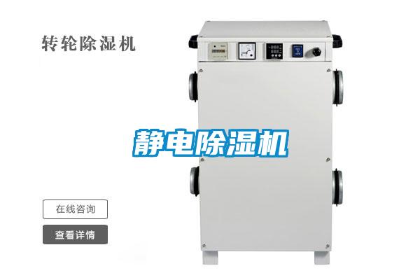 静电茄子视频懂你更多在线观看