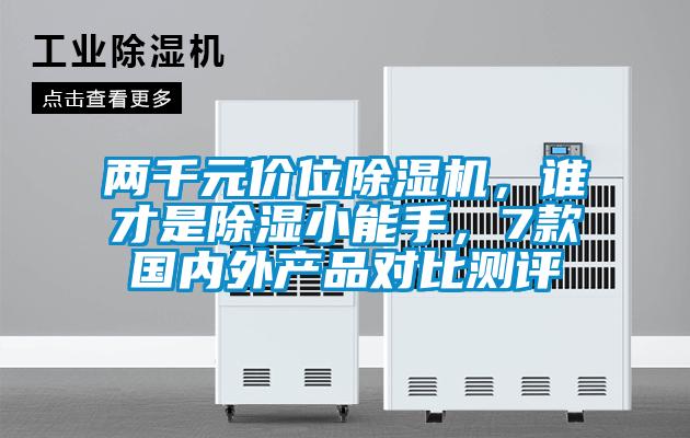 两千元价位茄子视频懂你更多在线观看，谁才是除湿小能手，7款国内外产品对比测评