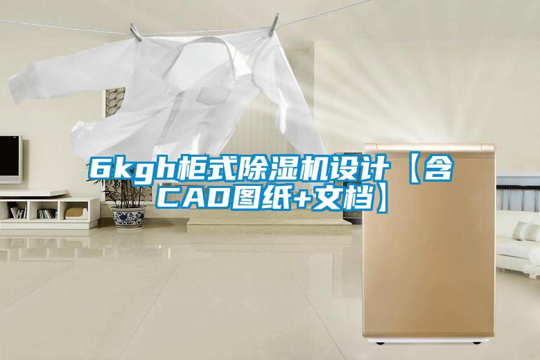 6kgh柜式茄子视频懂你更多在线观看设计【含CAD图纸+文档】