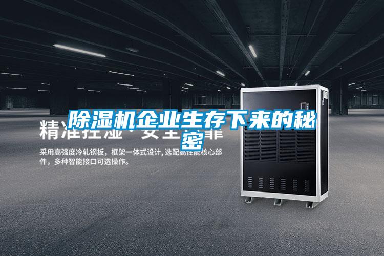 茄子视频懂你更多在线观看企业生存下来的秘密