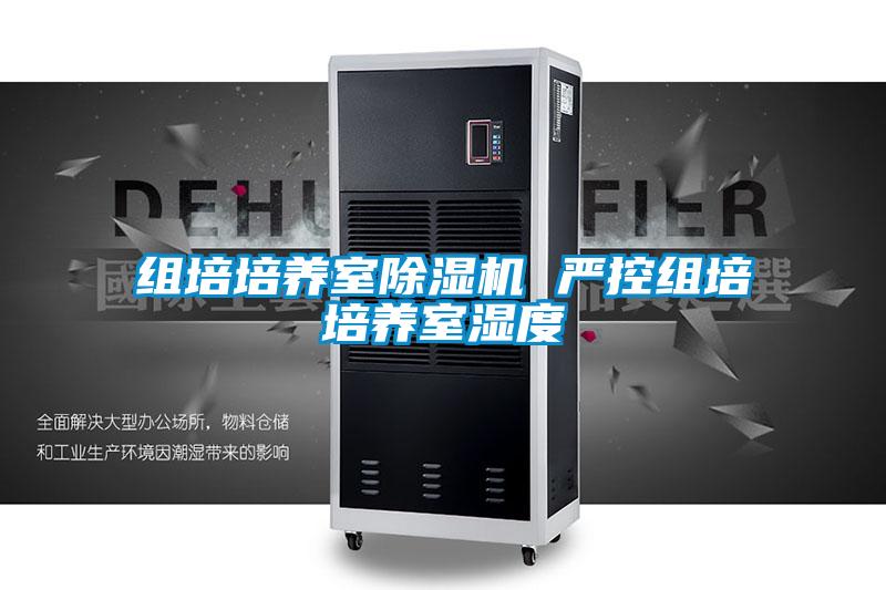 组培培养室茄子视频懂你更多在线观看 严控组培培养室湿度