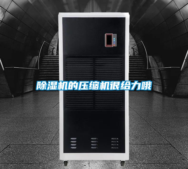 茄子视频懂你更多在线观看的压缩机很给力哦