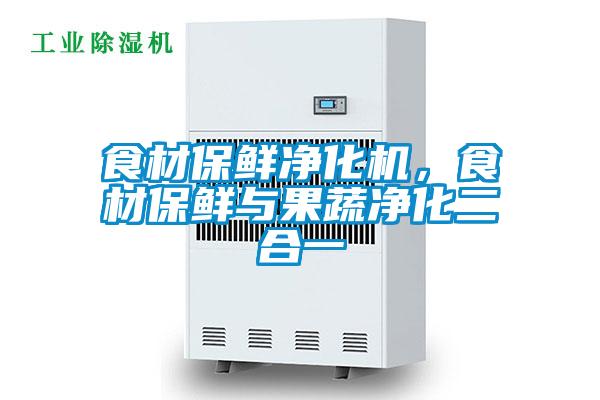 食材保鲜净化机，食材保鲜与果蔬净化二合一