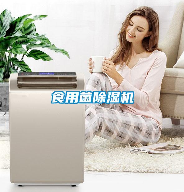 食用菌茄子视频懂你更多在线观看