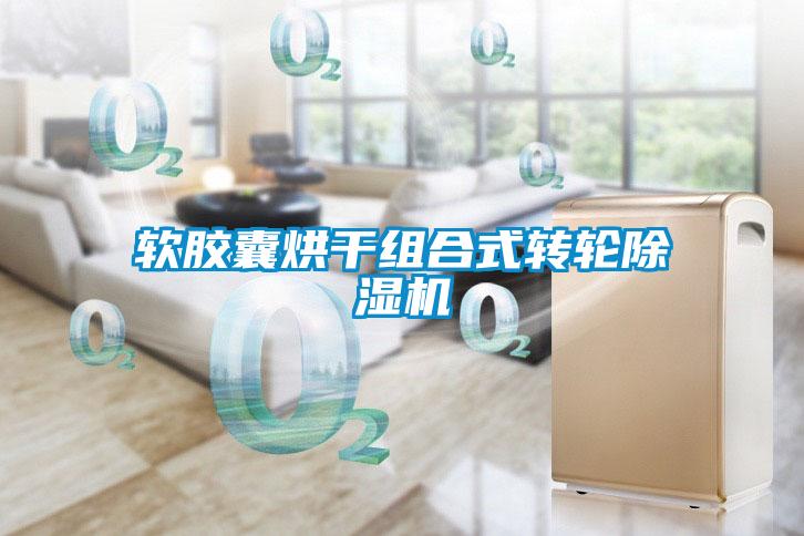 软胶囊烘干组合式转轮茄子视频懂你更多在线观看