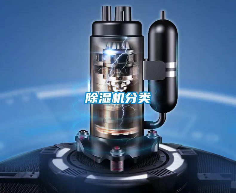 茄子视频懂你更多在线观看分类