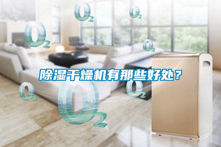 除湿干燥机有那些好处？