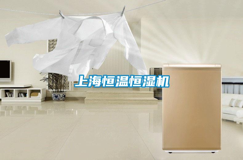 上海恒温恒湿机