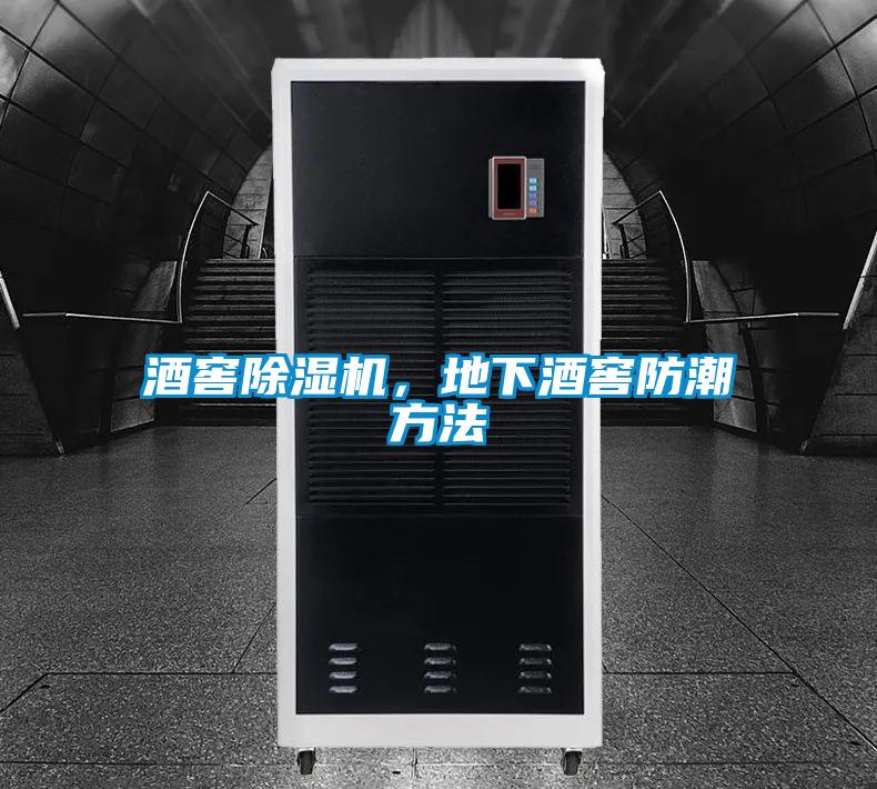 酒窖茄子视频懂你更多在线观看，地下酒窖防潮方法