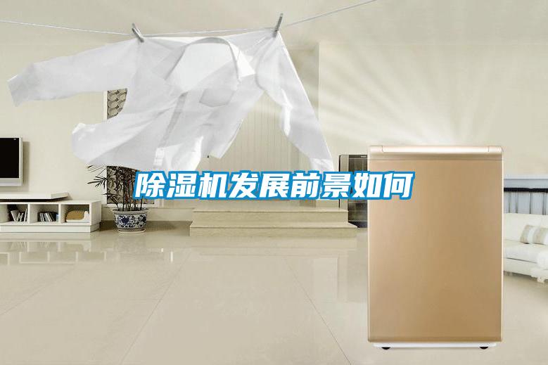 茄子视频懂你更多在线观看发展前景如何