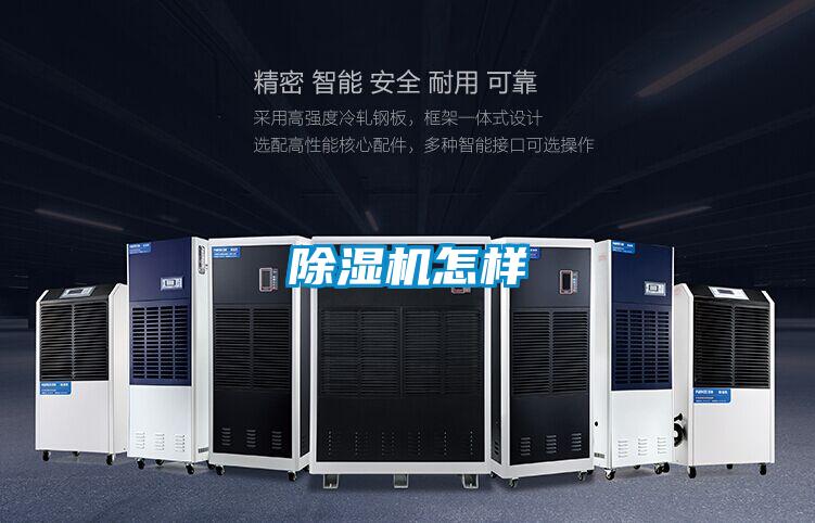 茄子视频懂你更多在线观看怎样