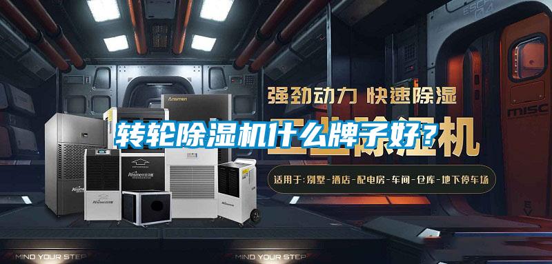 转轮茄子视频懂你更多在线观看什么牌子好？
