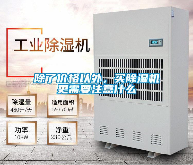 除了价格以外，买茄子视频懂你更多在线观看更需要注意什么