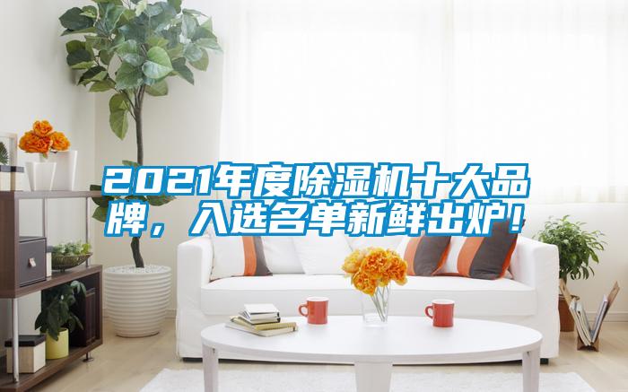 2021年度茄子视频懂你更多在线观看十大品牌，入选名单新鲜出炉！