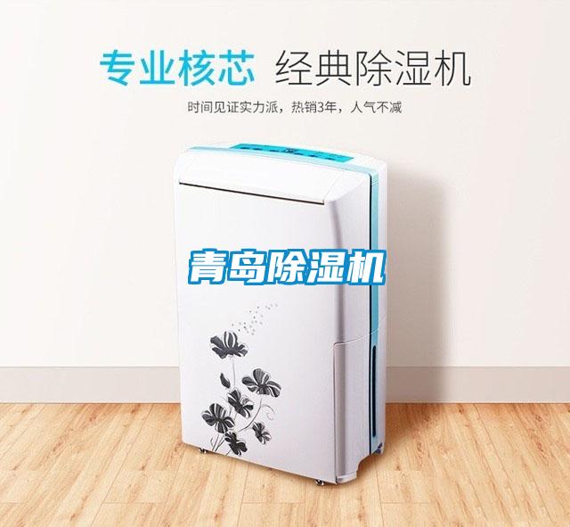 青岛茄子视频懂你更多在线观看