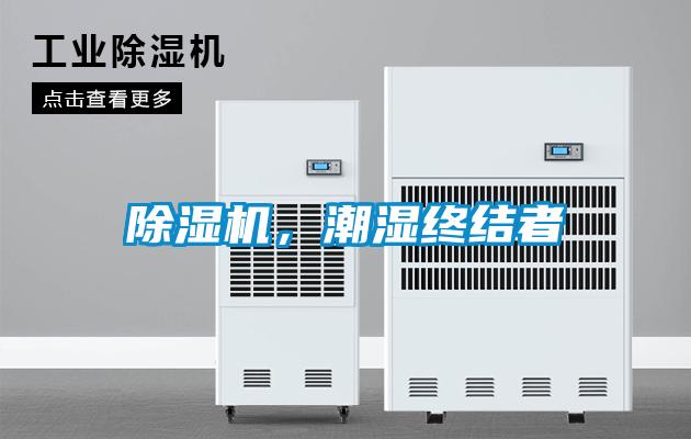 茄子视频懂你更多在线观看，潮湿终结者