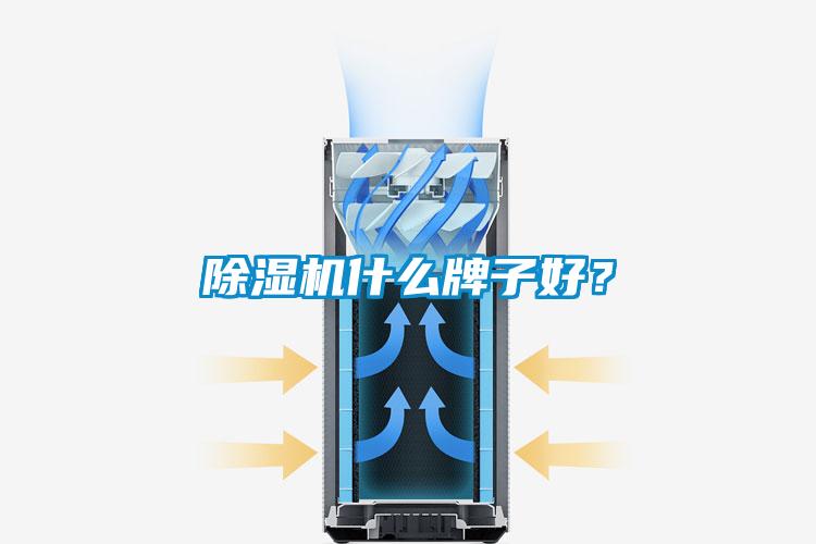 茄子视频懂你更多在线观看什么牌子好？