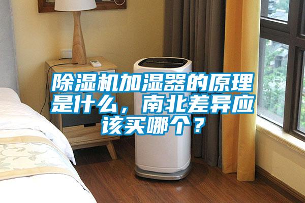 茄子视频懂你更多在线观看加湿器的原理是什么，南北差异应该买哪个？