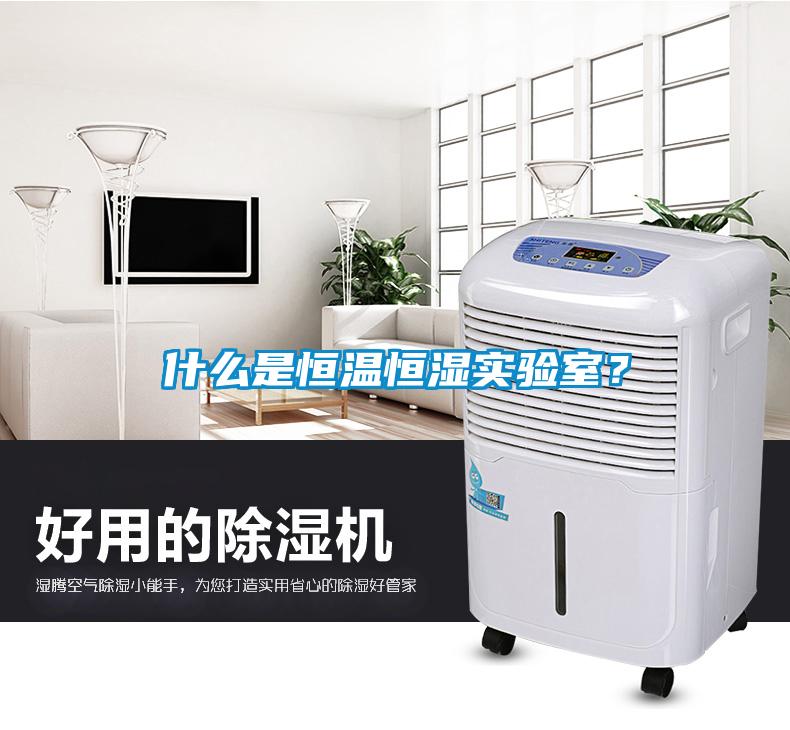 什么是恒温恒湿实验室？