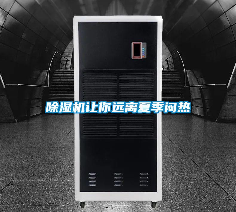 茄子视频懂你更多在线观看让你远离夏季闷热