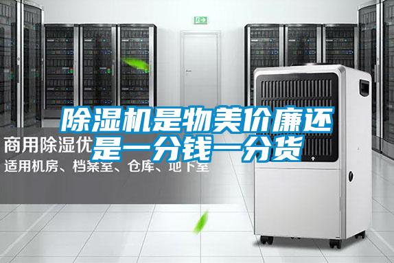 茄子视频懂你更多在线观看是物美价廉还是一分钱一分货