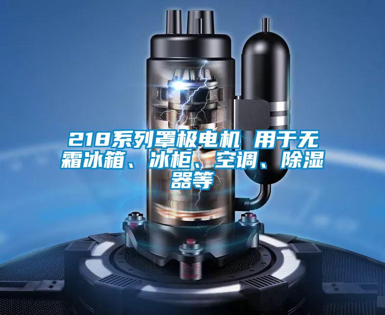 218系列罩极电机 用于无霜冰箱、冰柜、空调、除湿器等