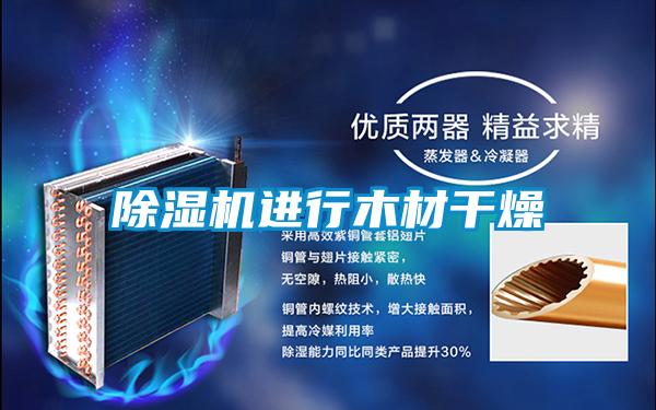 茄子视频懂你更多在线观看进行木材干燥