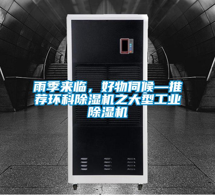 雨季来临，好物伺候—推荐环科茄子视频懂你更多在线观看之大型工业茄子视频懂你更多在线观看