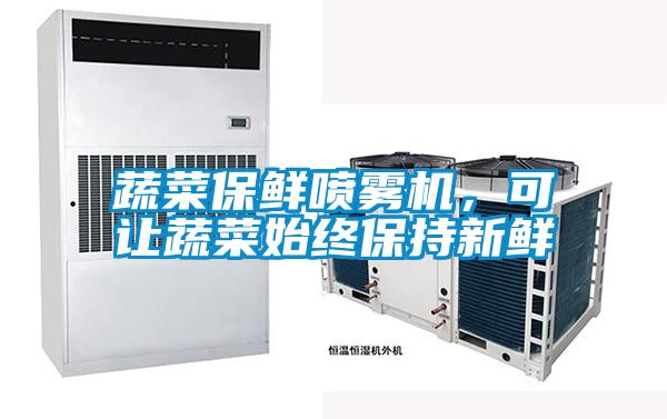 蔬菜保鲜喷雾机，可让蔬菜始终保持新鲜