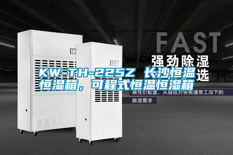 KW-TH-225Z 长沙恒温恒湿箱，可程式恒温恒湿箱
