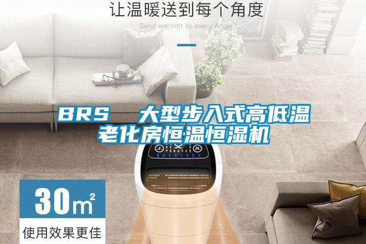 BRS 大型步入式高低温老化房恒温恒湿机