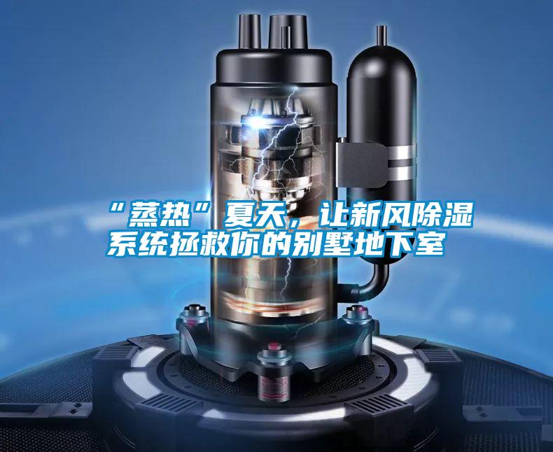 “蒸热”夏天，让新风除湿系统拯救你的别墅地下室