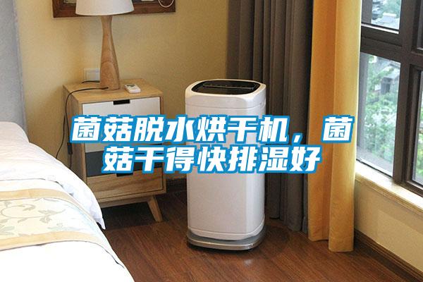 菌菇脱水烘干机，菌菇干得快排湿好