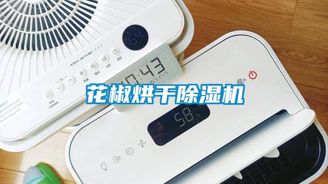 花椒烘干茄子视频懂你更多在线观看