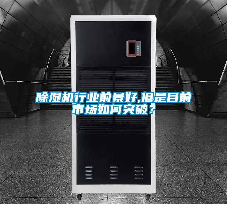 茄子视频懂你更多在线观看行业前景好,但是目前市场如何突破？