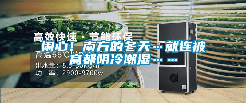 闹心！南方的冬天…就连被窝都阴冷潮湿……