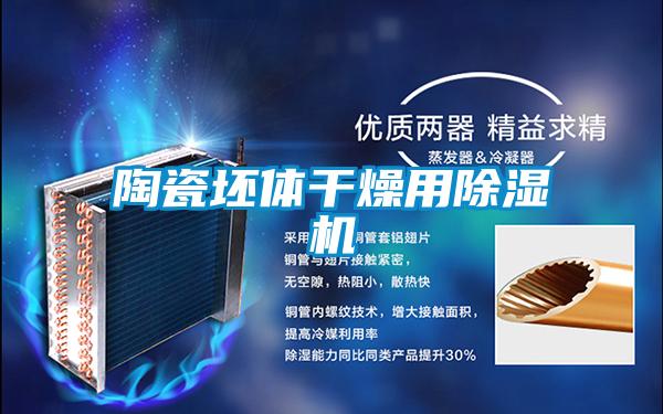 陶瓷坯体干燥用茄子视频懂你更多在线观看