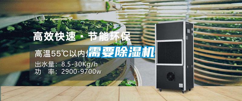 需要茄子视频懂你更多在线观看